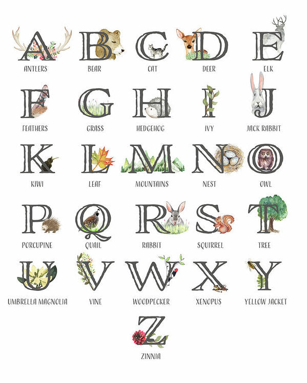 Abc Woodland Alphabet Sampler Baby Nursery Wall Art Print