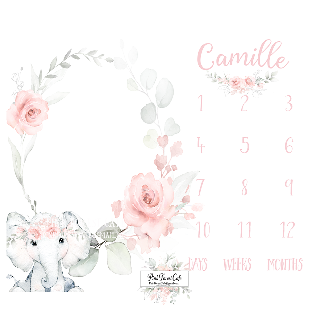 Milestone Personalized Minky Blanket Elephant Baby Girl Blush Boho Month Monthly Infant Growth Watercolor Peony Photo Prop