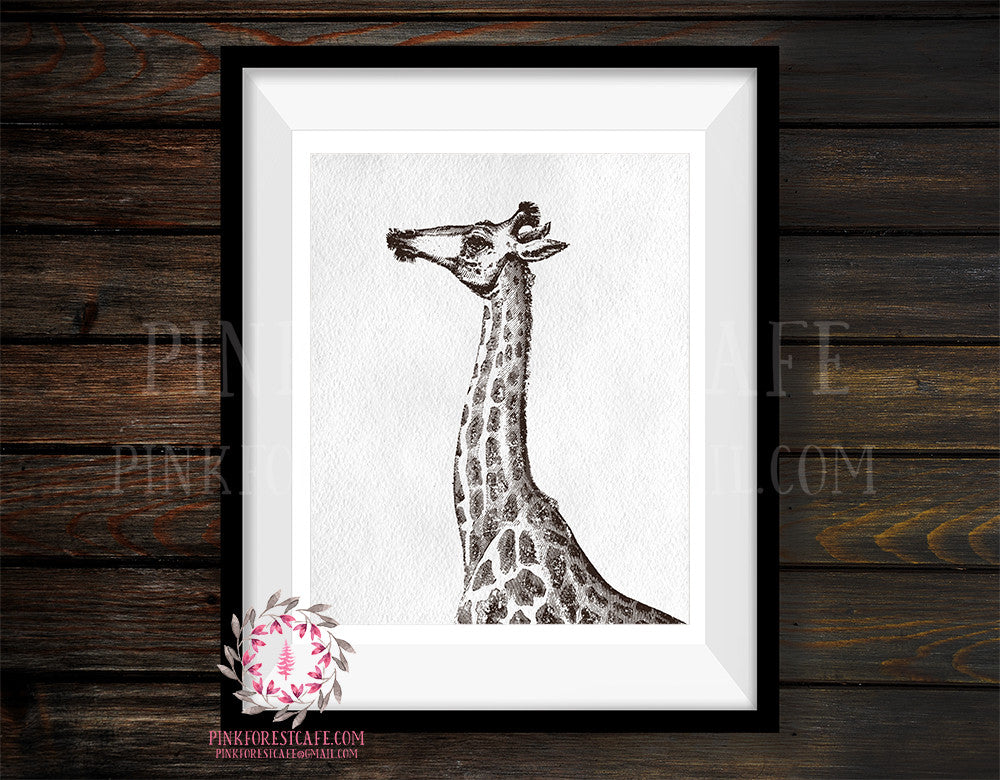 Giraffe Sketch ZOO Safari Nursery Kids Room Print Printable Wall Art Home Decor